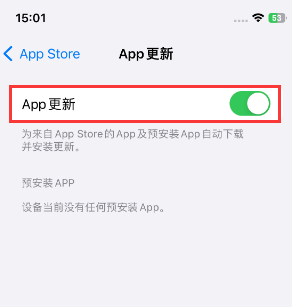 泰山苹果15维修中心如何让iPhone15APP自动更新